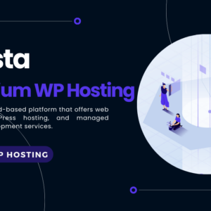 kinsta web hosting service