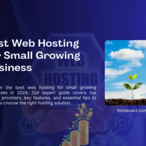 Best Web Hosting for Small Growing Business